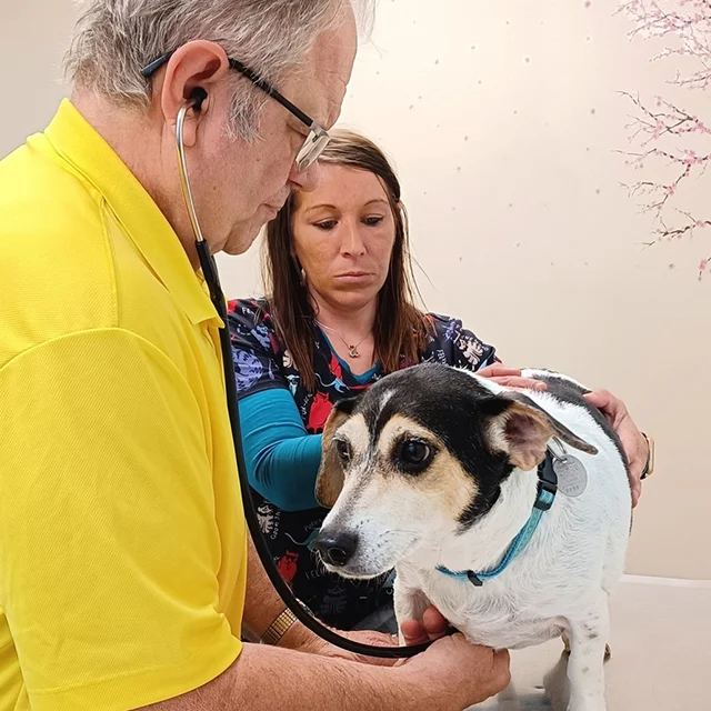 Dr. Gormley and a Highland team member examining a dog together