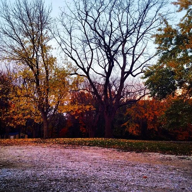 Autumn trees and lawn on Highland's grounds