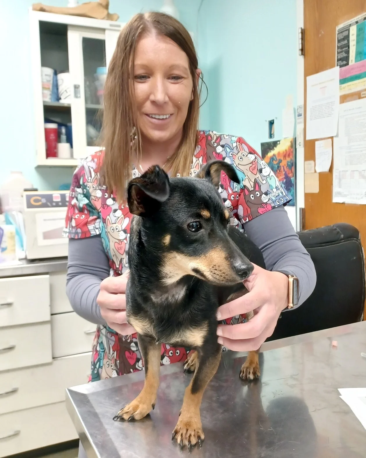 A Highland team member holding a dog in the clinic's treatment area