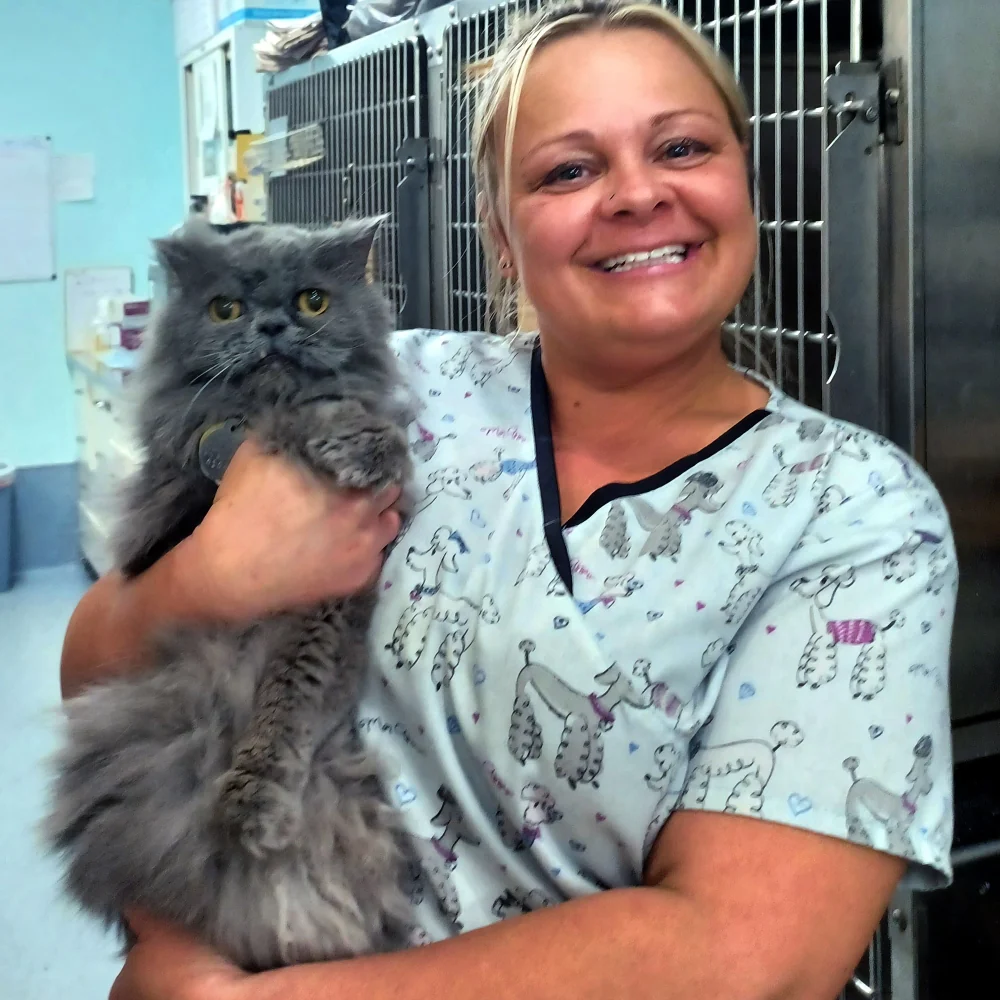 A Highland caregiver smiles while holding a fluffy gray cat.