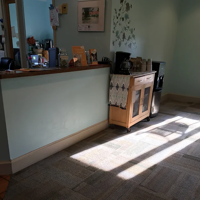 Sunlight falls across Highland’s reception area and front desk.