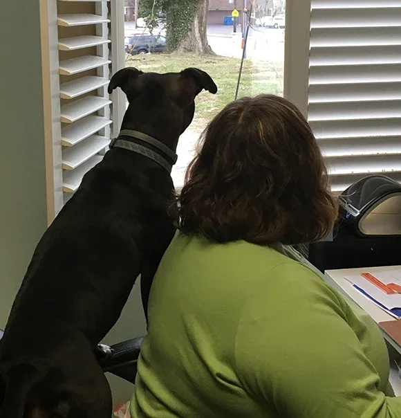 A dog keeping close company with a person at a desk in Highland’s photography collection.