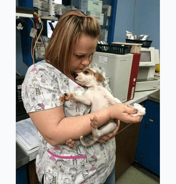 A Highland team member gently cradling a small puppy.