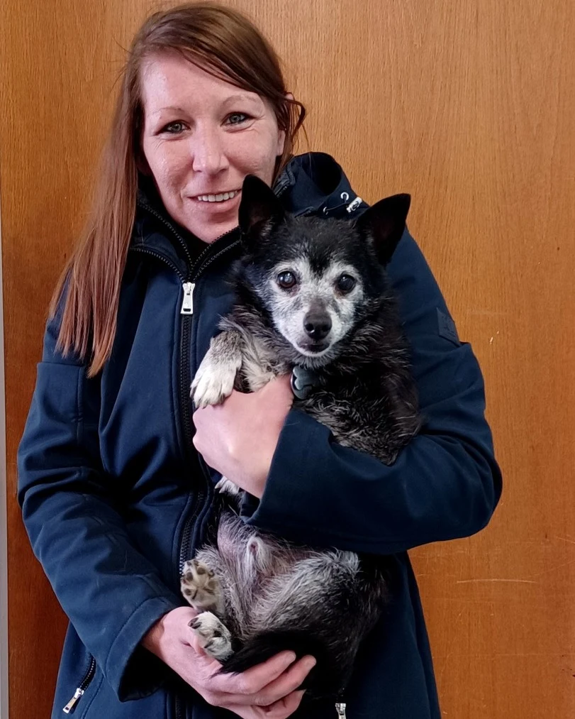 A Highland team member holding a senior black-and-white dog close.
