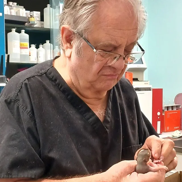 Dr. Gormley carefully examining a young animal at Highland.