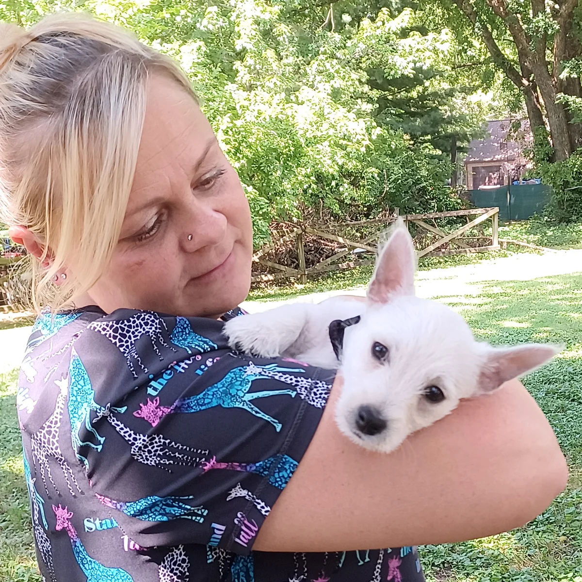 A Highland veterinary team member gently holding a white puppy outdoors.
